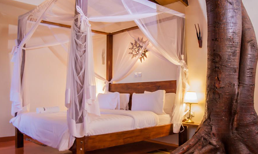 TreeHouse_836x500-HP-6